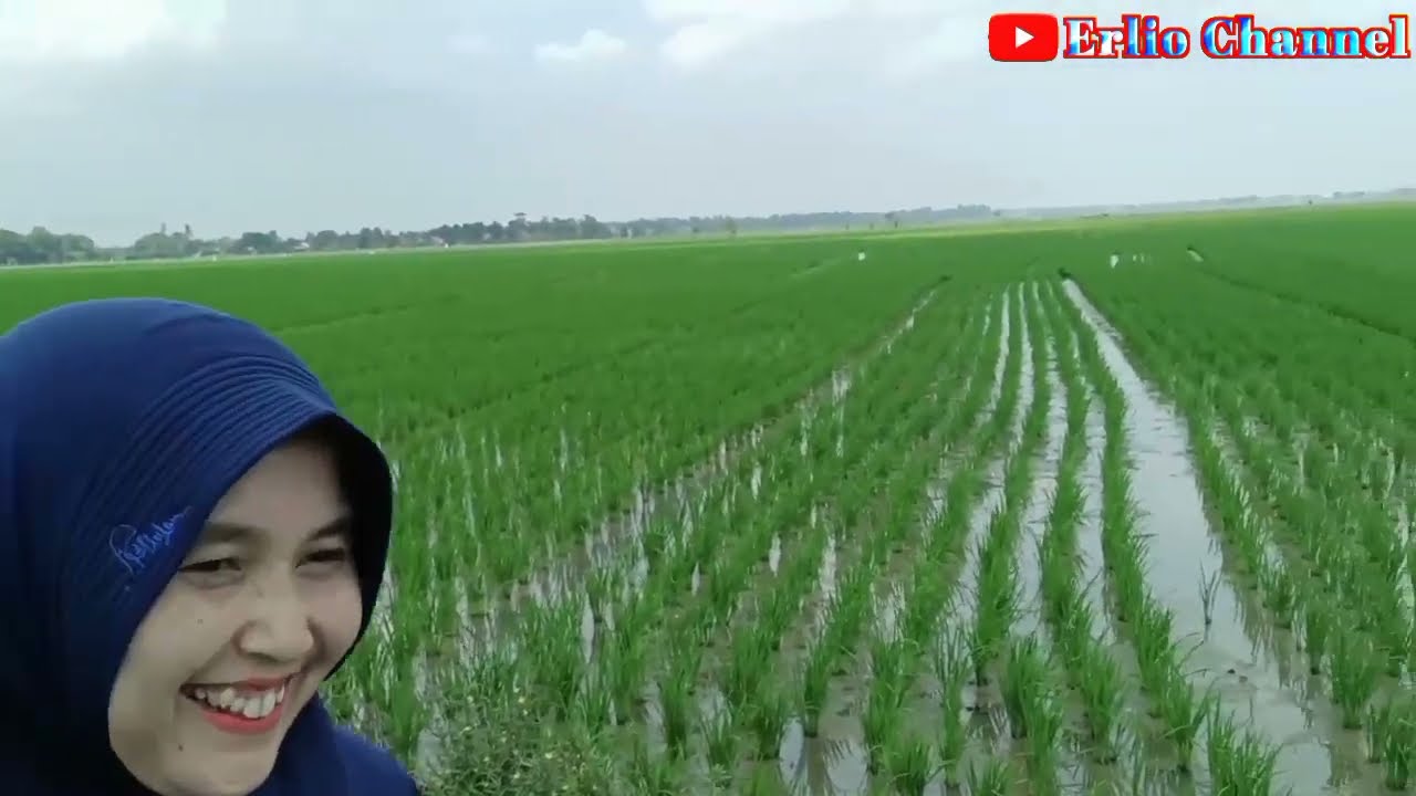 Kampung Sembilan desa Gempol Karawang