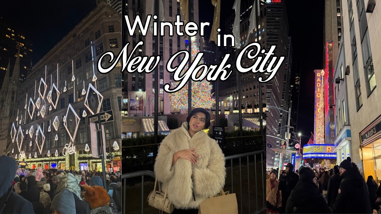 WINTER IN NYC (SO BRUTAAAAL)