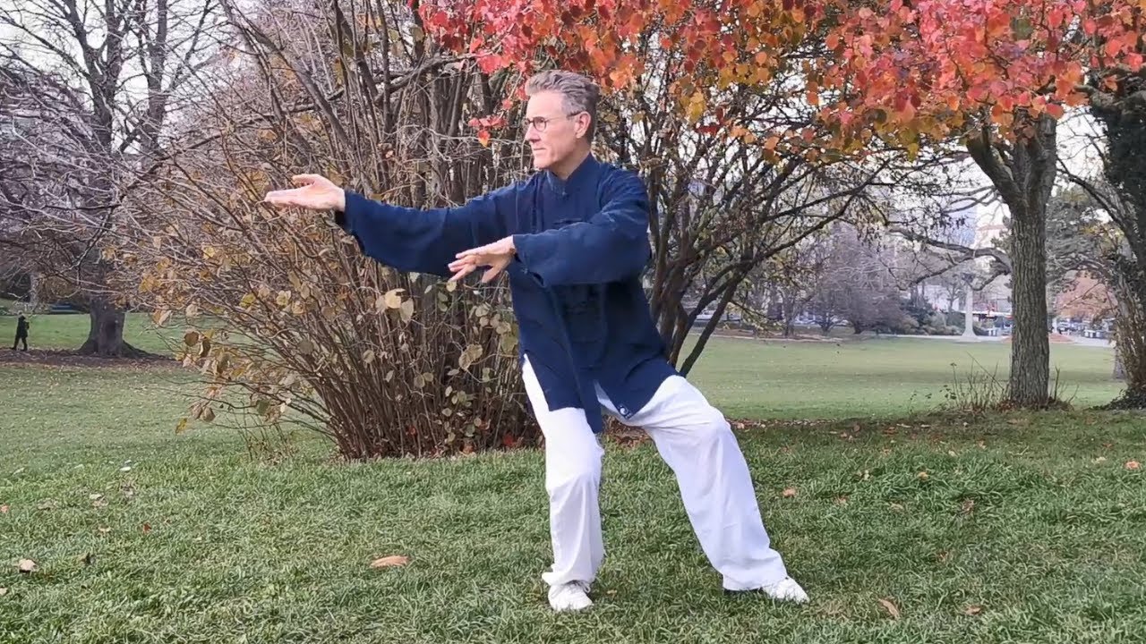 Taichi Forme 108 style Yang traditionnel, 1ère partie : La Terre
