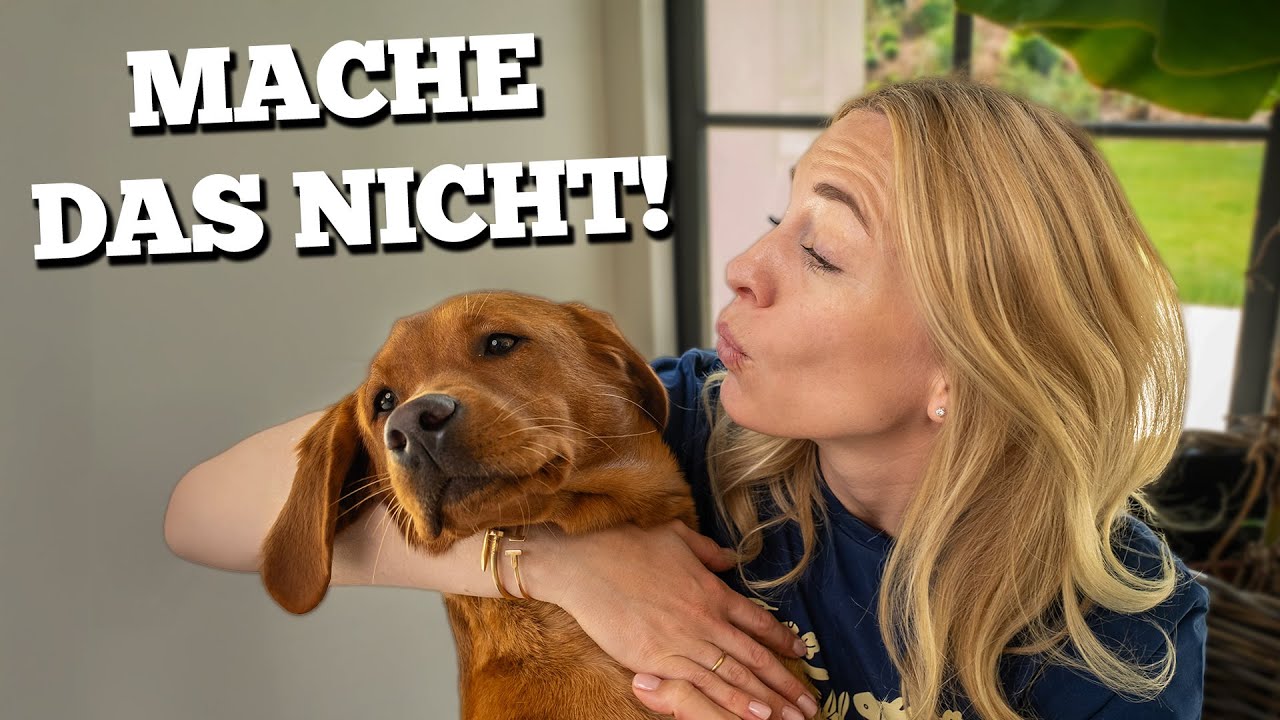 5 Dinge, die dein Hund HASST, du aber (wahrscheinlich) trotzdem tust