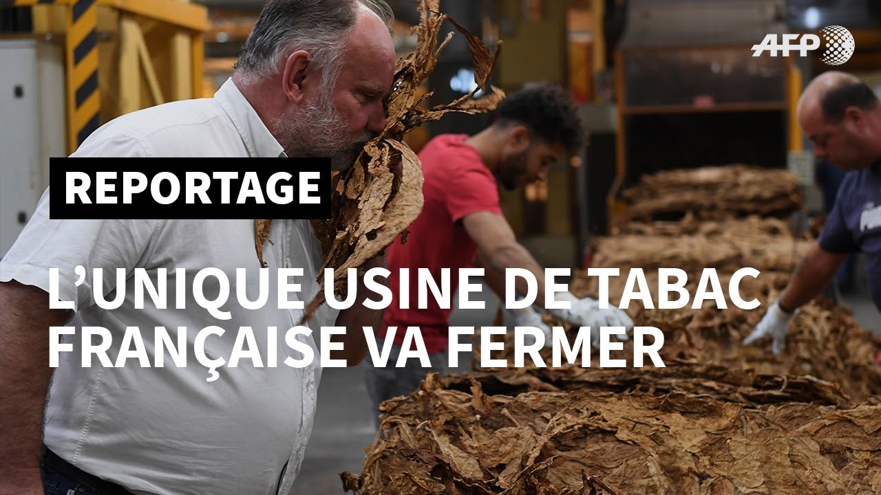 L'unique usine de tabac française vit ses derniers jours | AFP Reportage