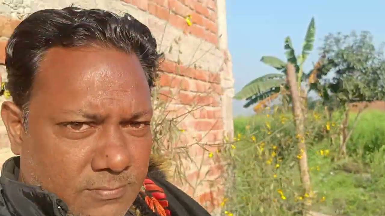 Sarso ke khet mai kaise bathua khutha hai || All cover in one video