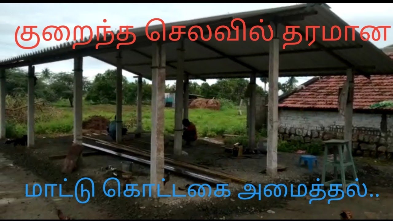 low cost maatu kottagai maatu Pannai.. குறைந்த செலவில் மாட்டு கொட்டகை மாட்டு பண்ணை அமைத்தல்..