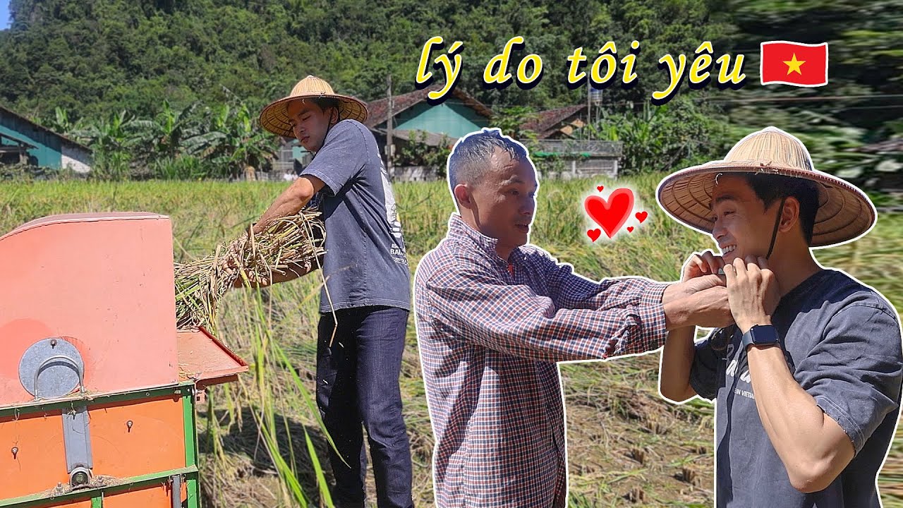 Lần đầu tiên trong đời thấy Việt Nam đẹp đến vậy | Lý do người HQ yêu thương Việt Nam
