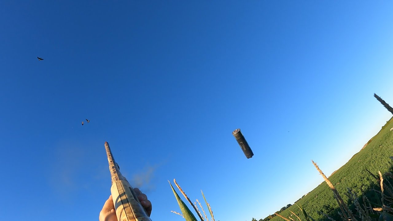 2022 Goose Opener!! (Catch Clean Cook)