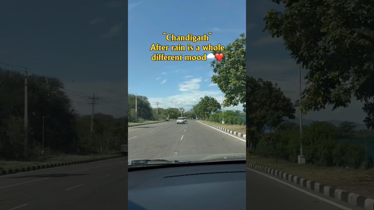 POV: The rain just made Chandigarh 10x prettier #Chandigarh #CityBeautiful #punjab