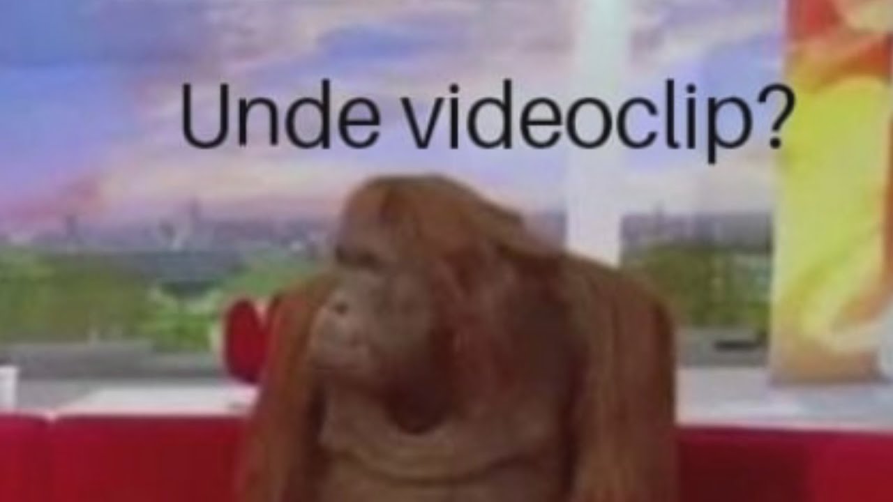 Meme Review 7