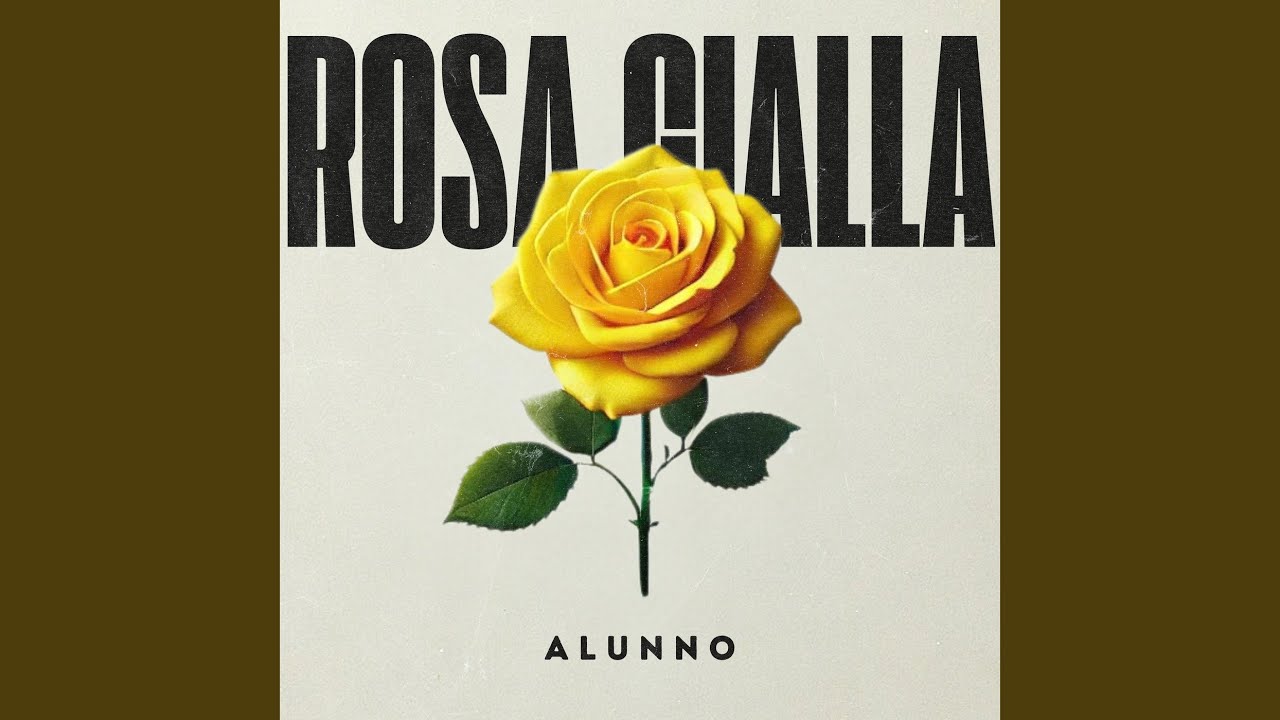 ROSA GIALLA