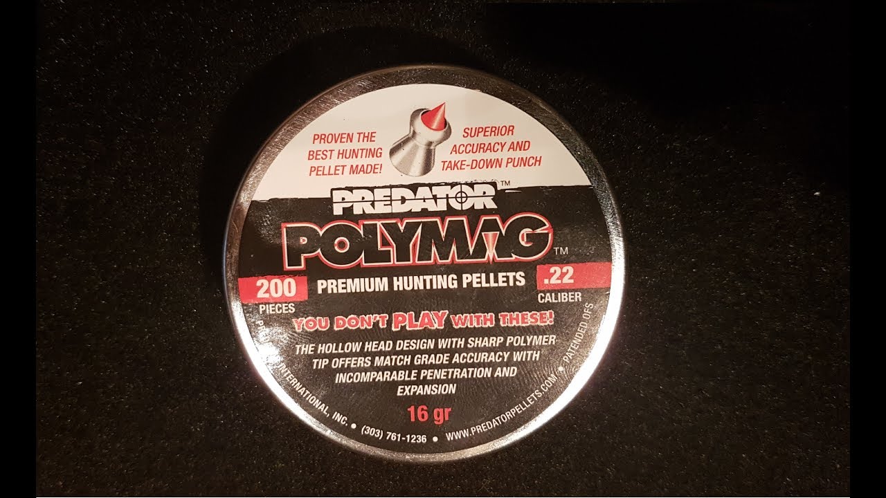 Predator Polymags pellet review and testing .22
