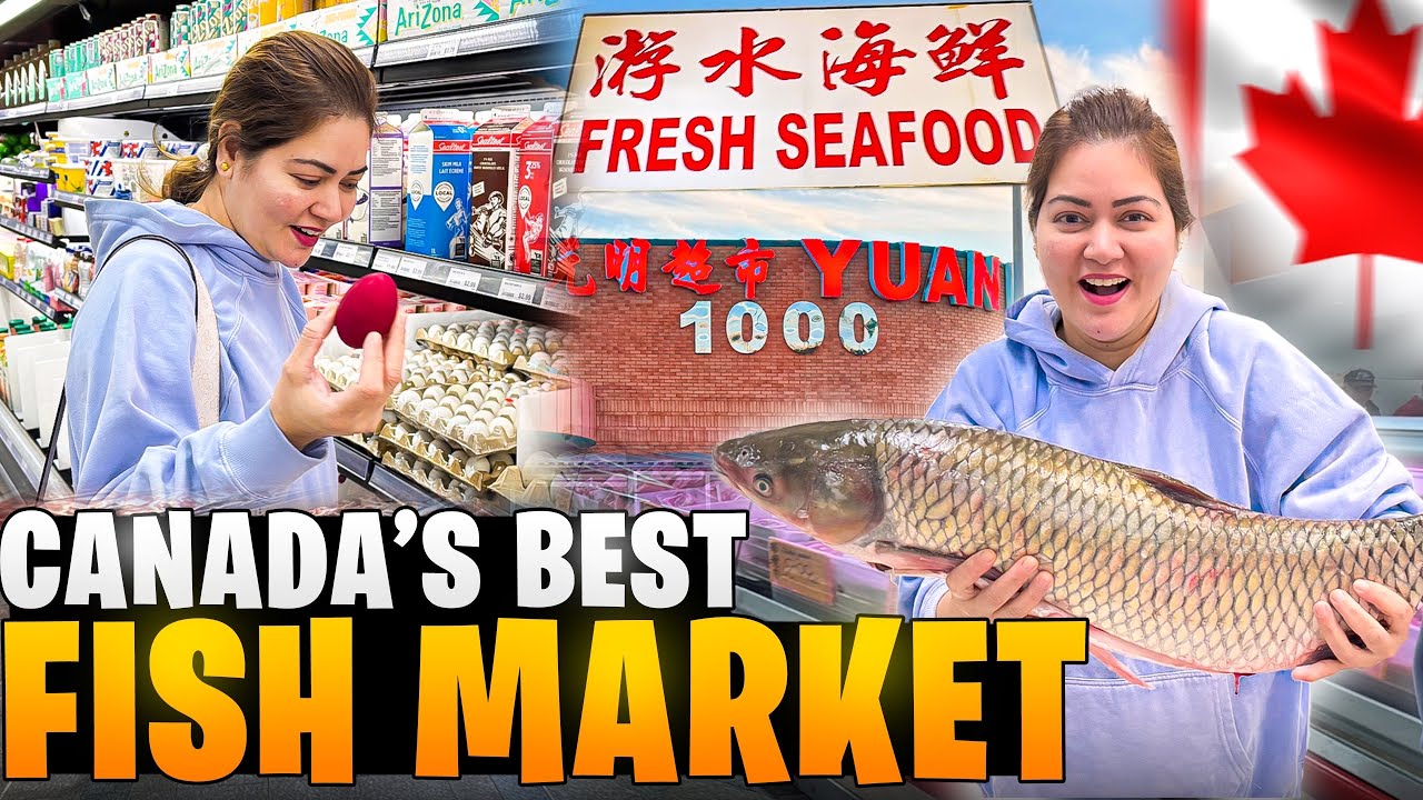 Best Fish 🐟 Market In Canada 🇨🇦 | Fresh Fish Always