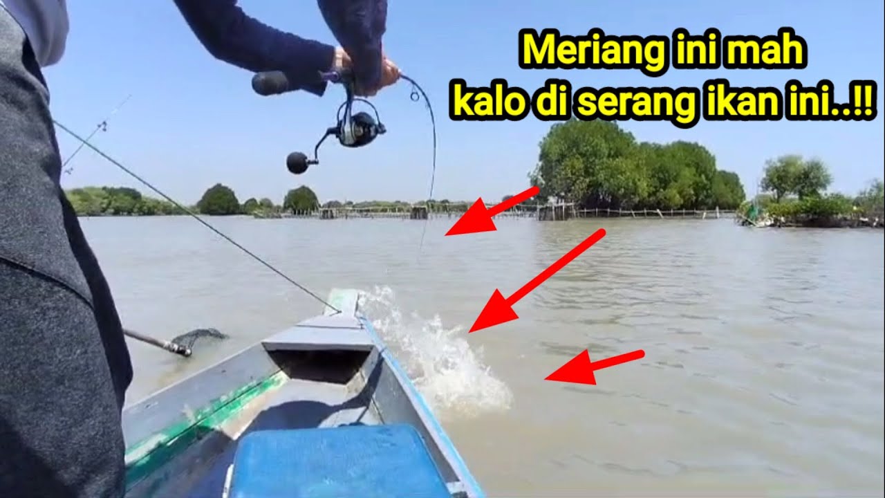 Asli bikin kaget di kira ikan kecil malah dapat besar