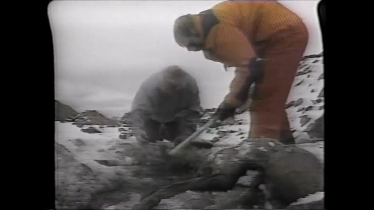 Discovery Of &Ouml;tzi The Iceman