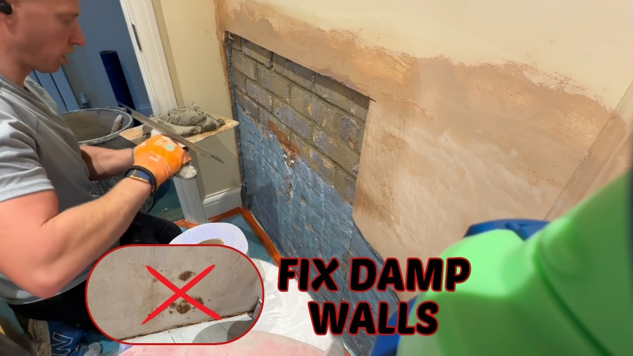 How to Fix Damp Plaster Like a Pro &ndash; Step-by-Step Guide!