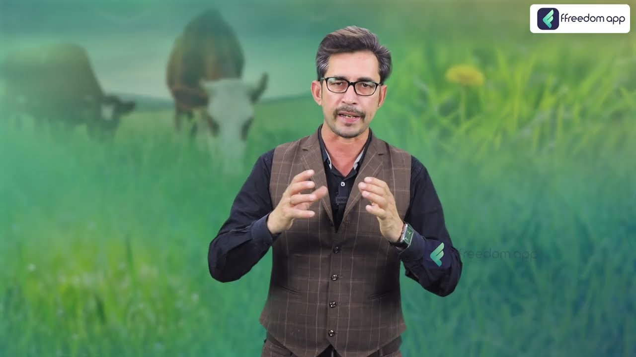 पशुओं के लिए चारे की सबसे अच्छी वैरायटी | Top 5 Fodder Grass Variety | Fodder Farming in India