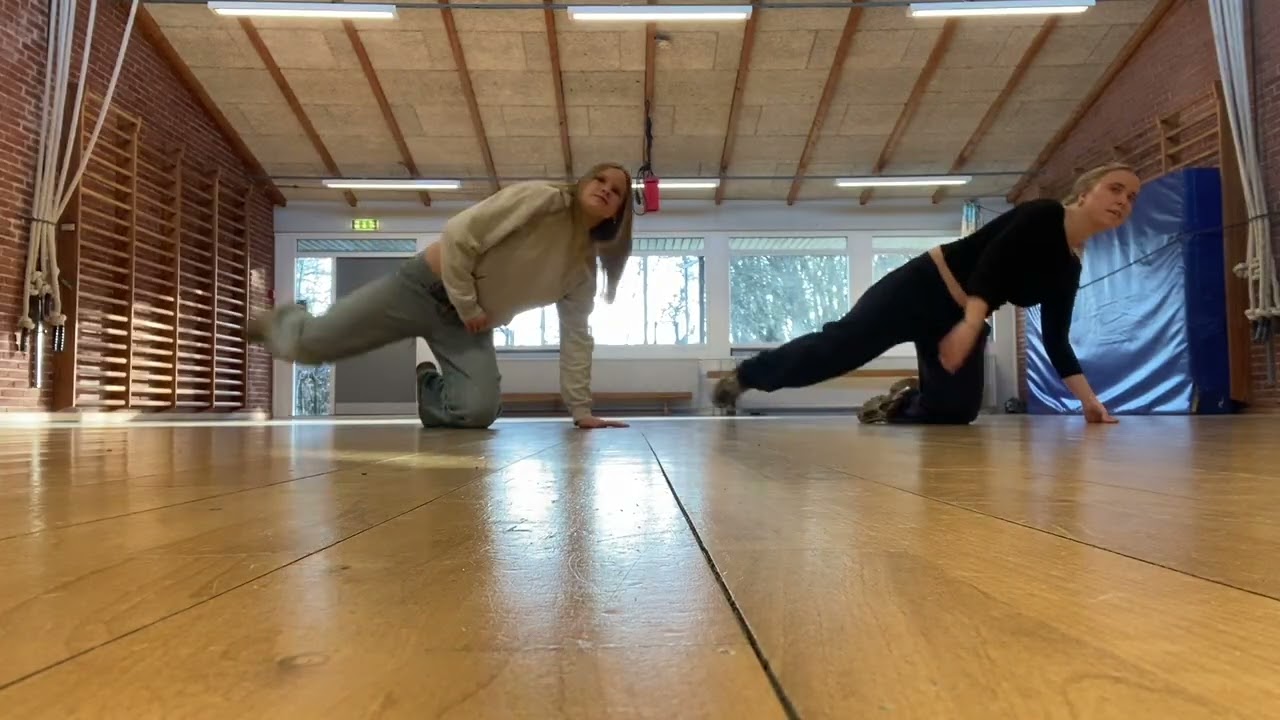 Alle dansene til introshowet. 