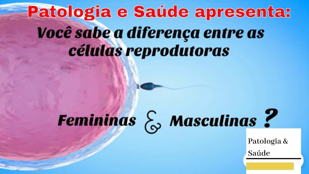 Reprodução Humana: Você sabe as diferenças entre as células reprodutoras masculinas e femininas?