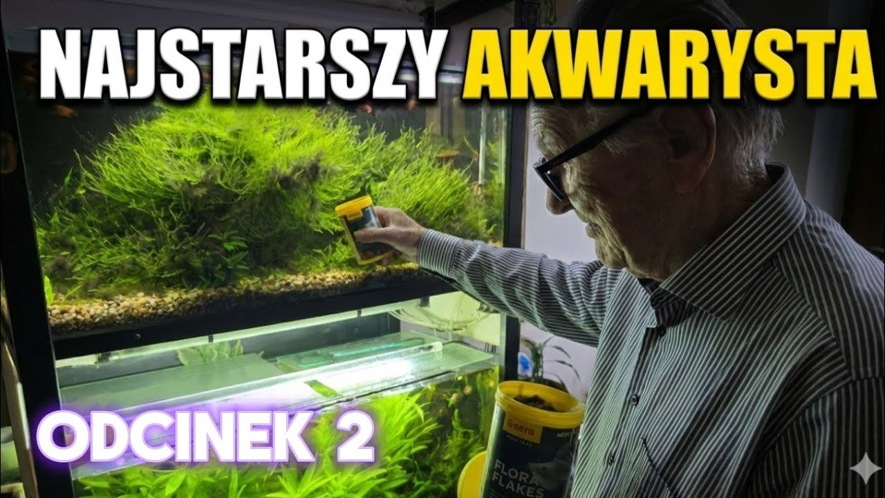 POLSKIE RYBY w akwarium. Dlaczego prawie nikt ich nie hoduje.