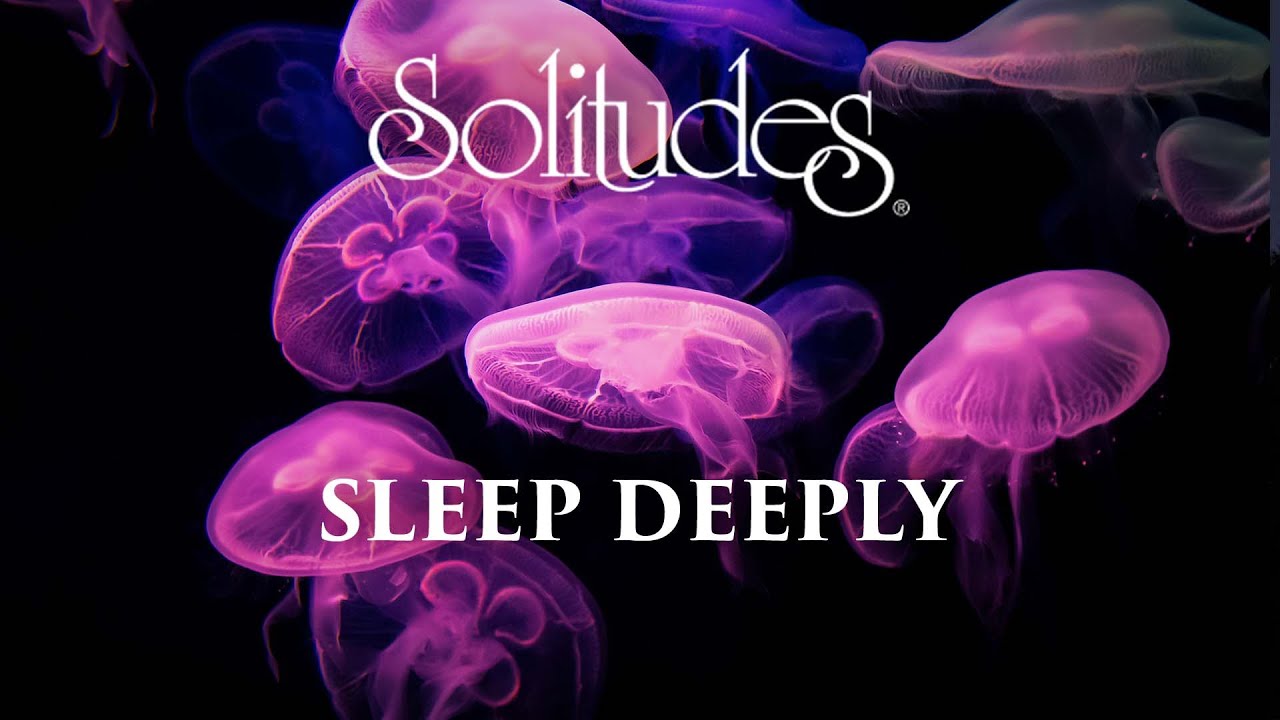 Dan Gibson’s Solitudes - Gentle Descent | Sleep Deeply