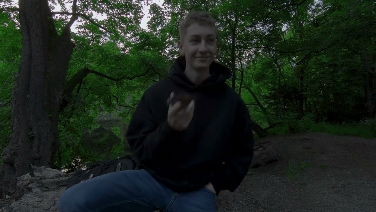 Video 1 | Der Start