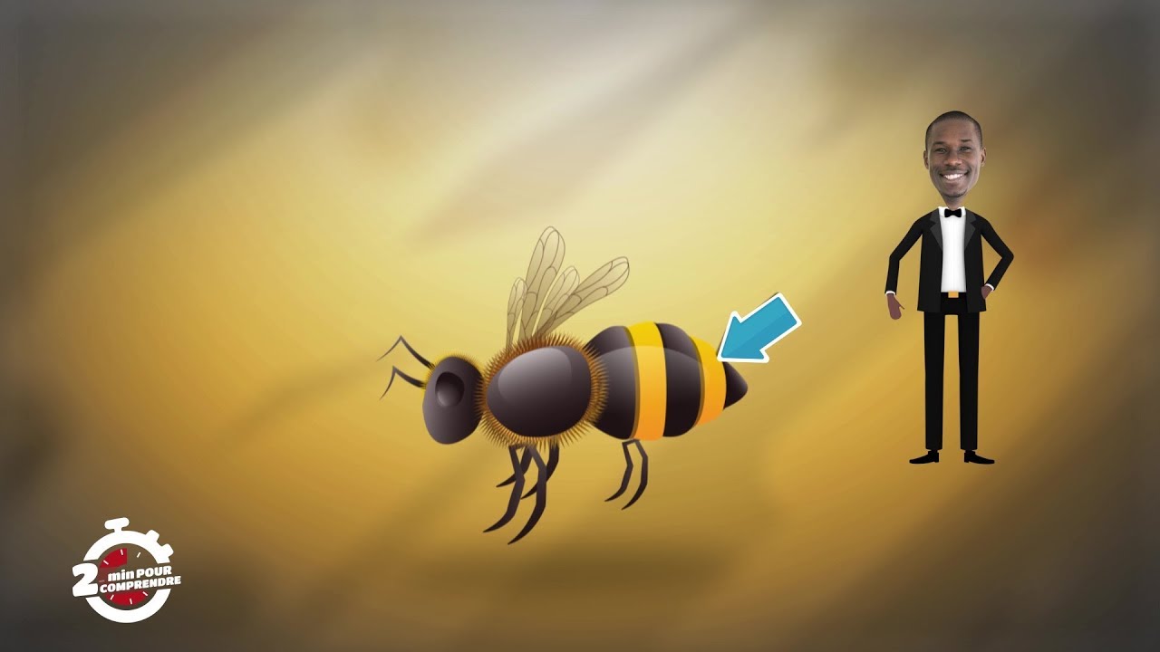 2mn pour comprendre L'ABEILLE du 11 Juin 2020