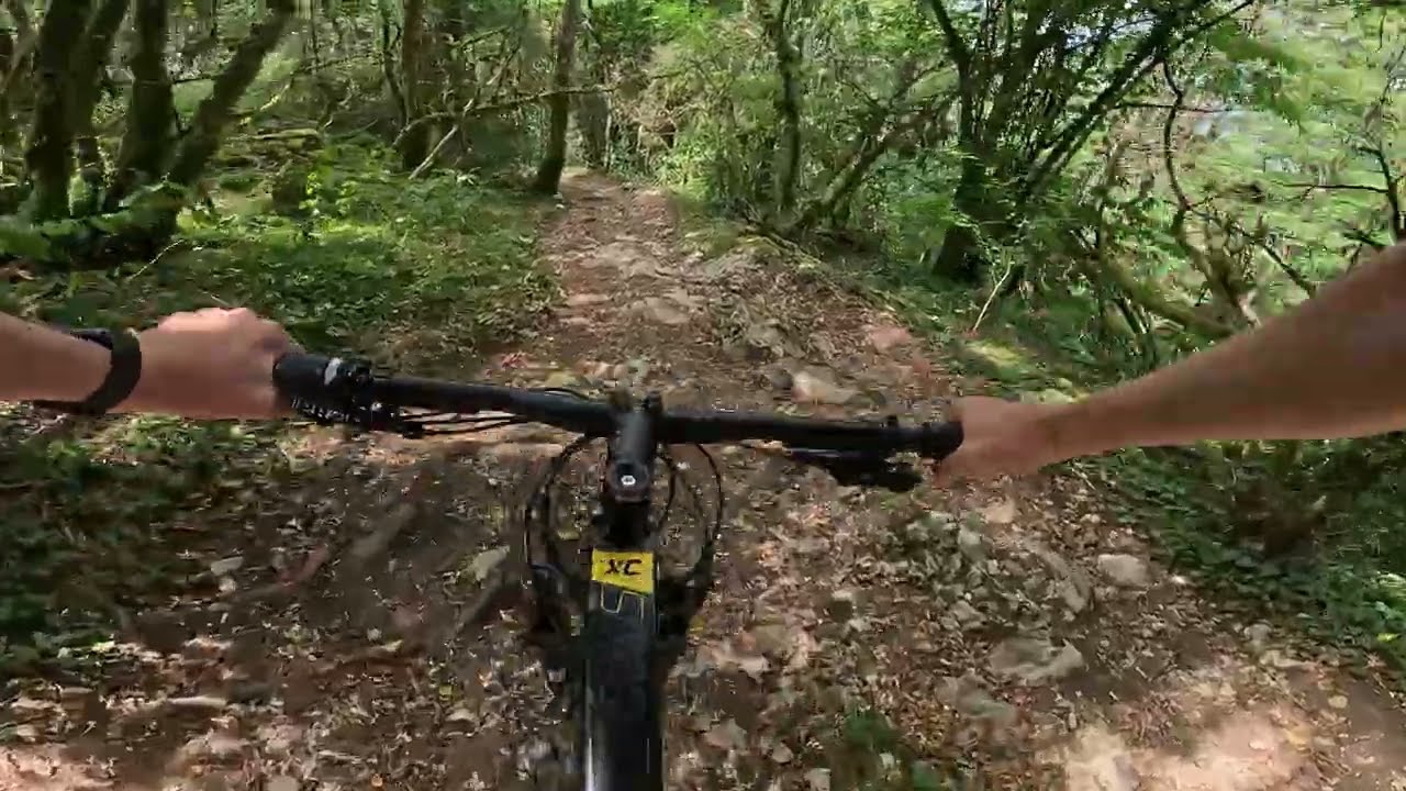 Sharpthorn Trail on the New Bike