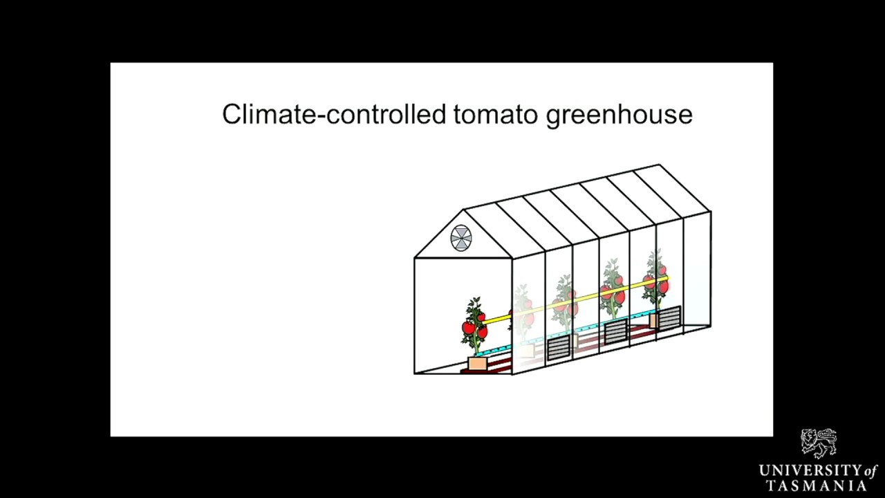 Dianfan Zhou_Greenhouse Vegetable Production