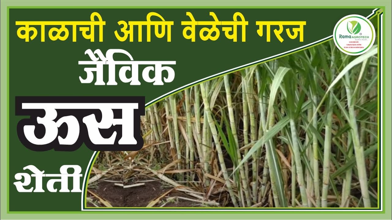 जैविक शेती काळाची आणि वेळेची गरज | Rama Agrotech