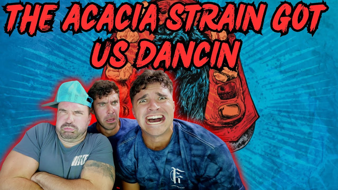 GROOVY AS HELL LETS GO  - The Acacia Strain - Nightman (Reaction)