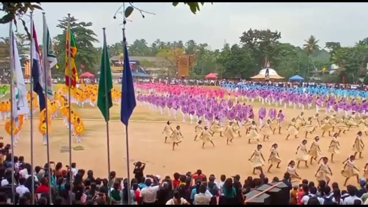 Taxila Central College 2026 House Meet Drill Display