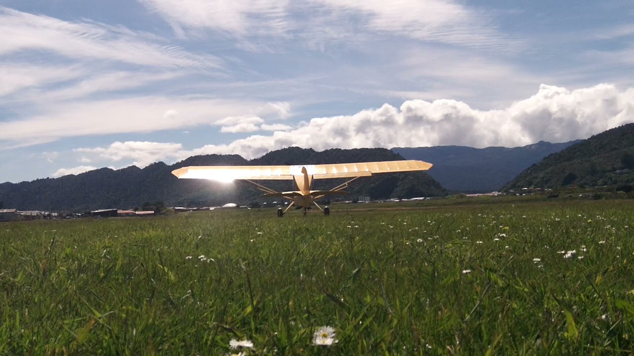 Savage Cub Landings