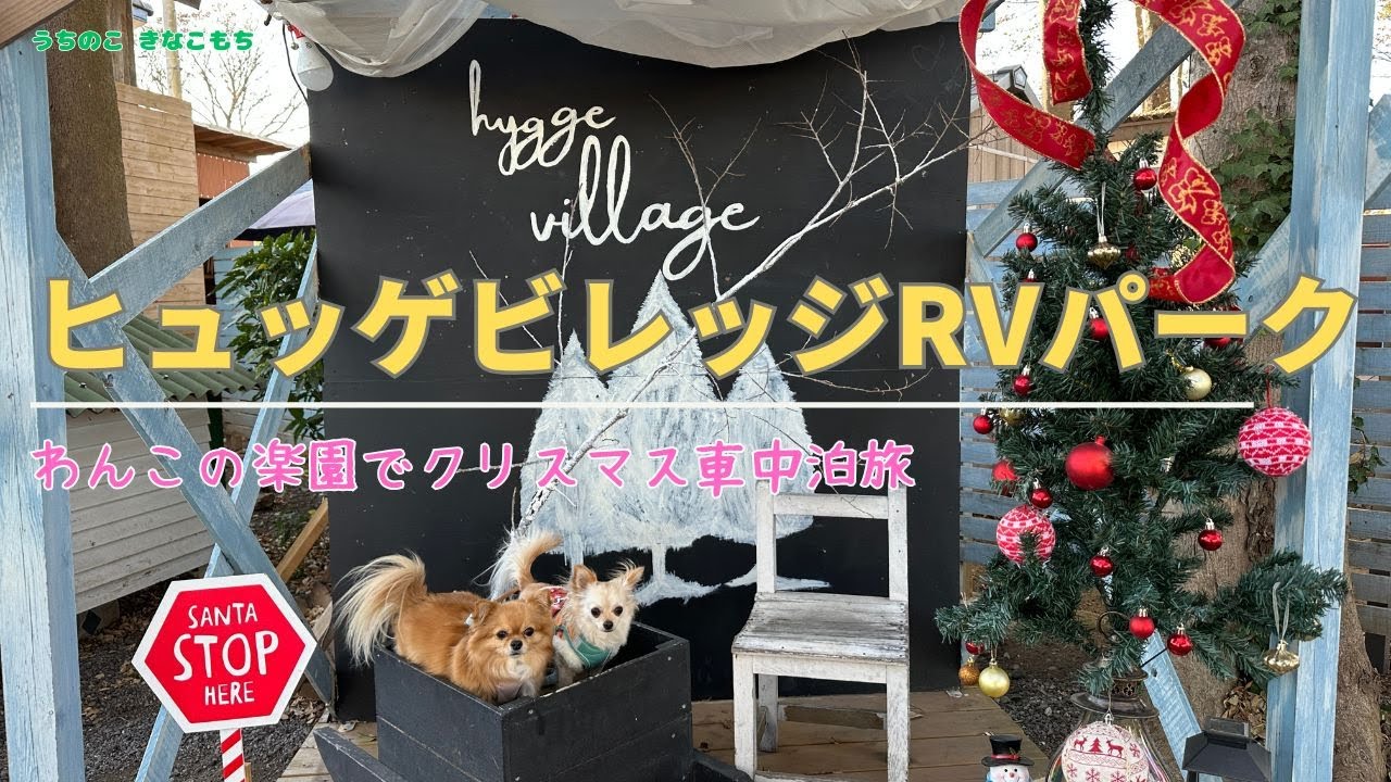 【アネックス ファミリーワゴンで最後の車中泊】ヒュッゲビレッジRVパーク／一泊二日クリスマス車中泊旅