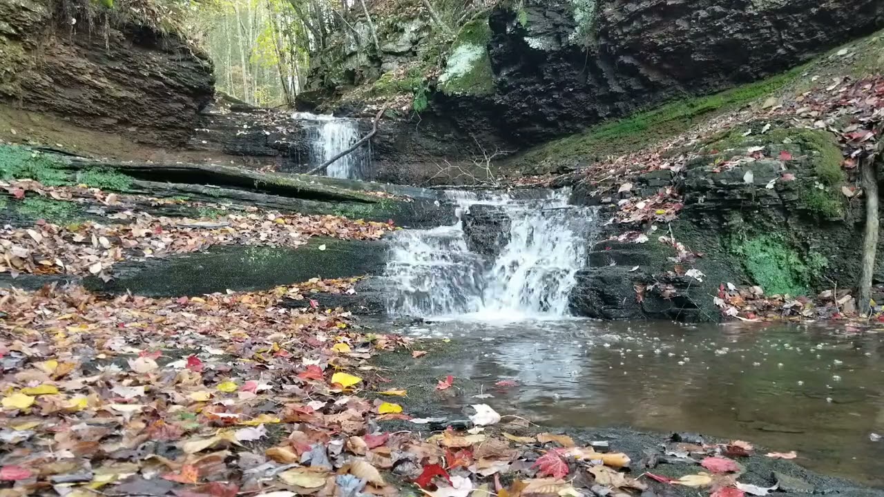 Pipestem Falls, WV (Middle Falls)