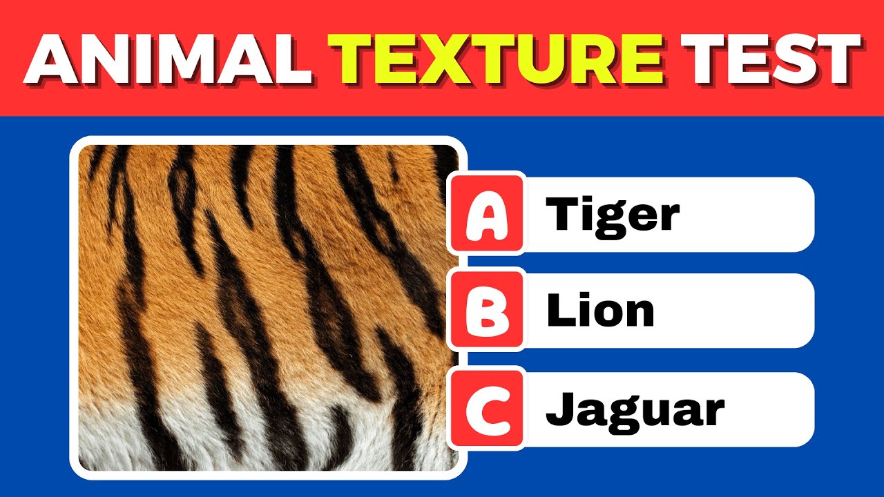 Guess the Animal by Skin, Fur & Texture | Ultimate Quiz Challenge | MyCrazyQuiz