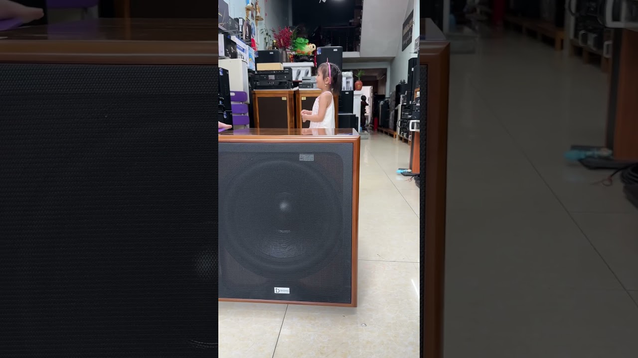 Loa Sub điện bass 40 ch&iacute;nh h&atilde;ng của DBACOUSTIC gi&aacute; lại hạt rẻ với c&ocirc;ng suất 350w