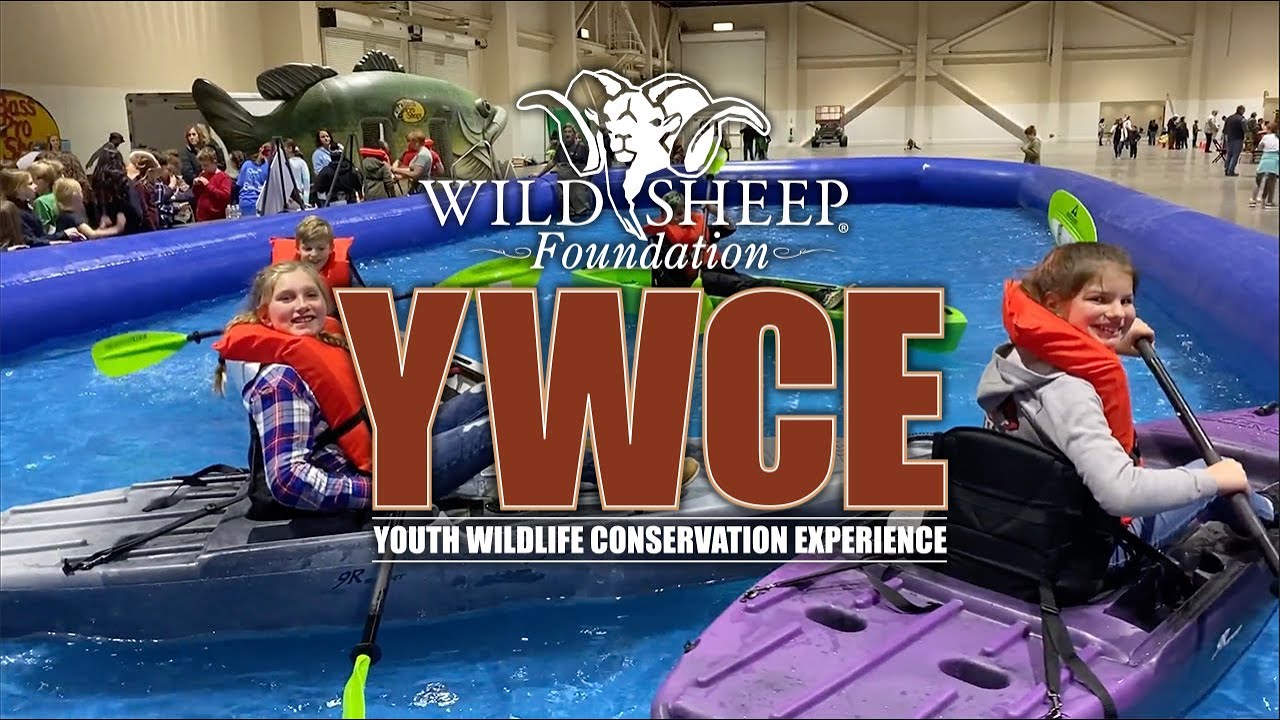 YWCE 2025