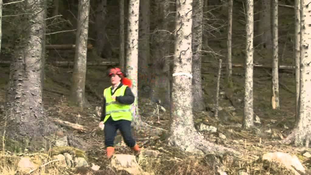 Steep Ground Harvesting in the Great Glen