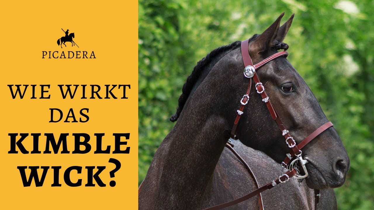 Wie wirkt das Kimblewick? / Wirkung Springkandare