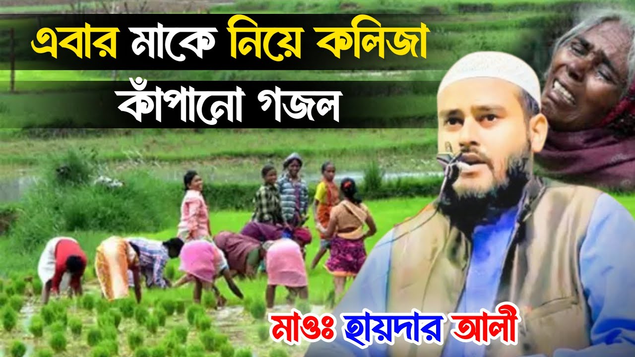এবার মাকে নিয়ে কলিজা কাঁপানো গজল | Maulana Haider Ali | Haider Ali Ghazal | Waz, Jalsa