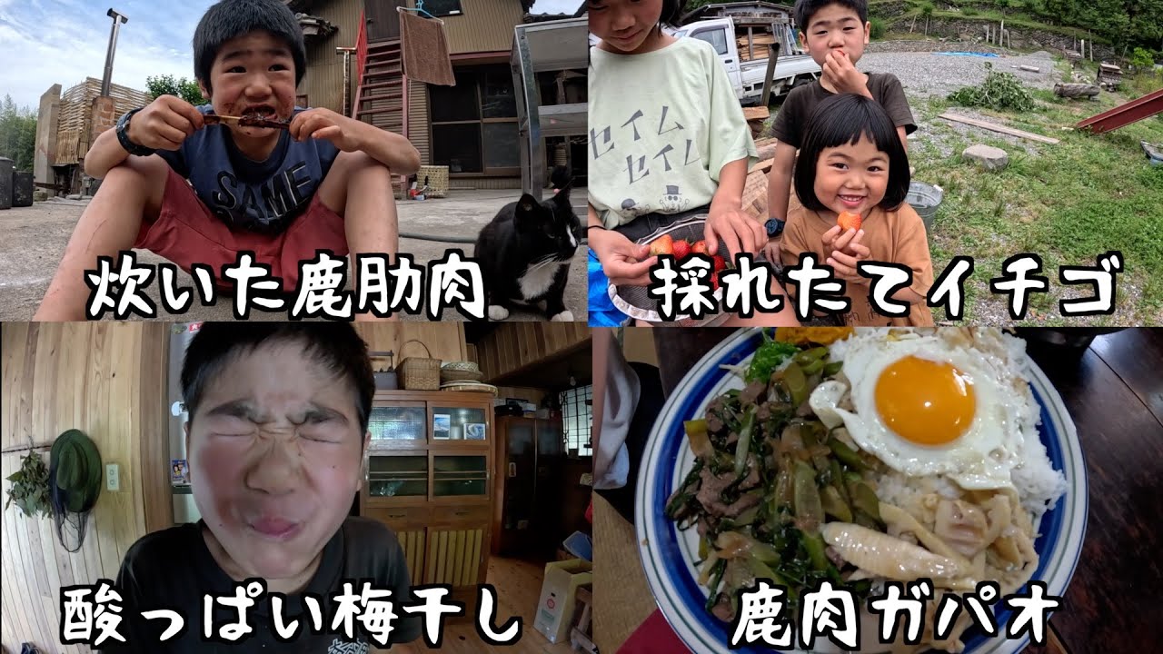 山暮らし家族のルーティン#272 【廣川家の好日】