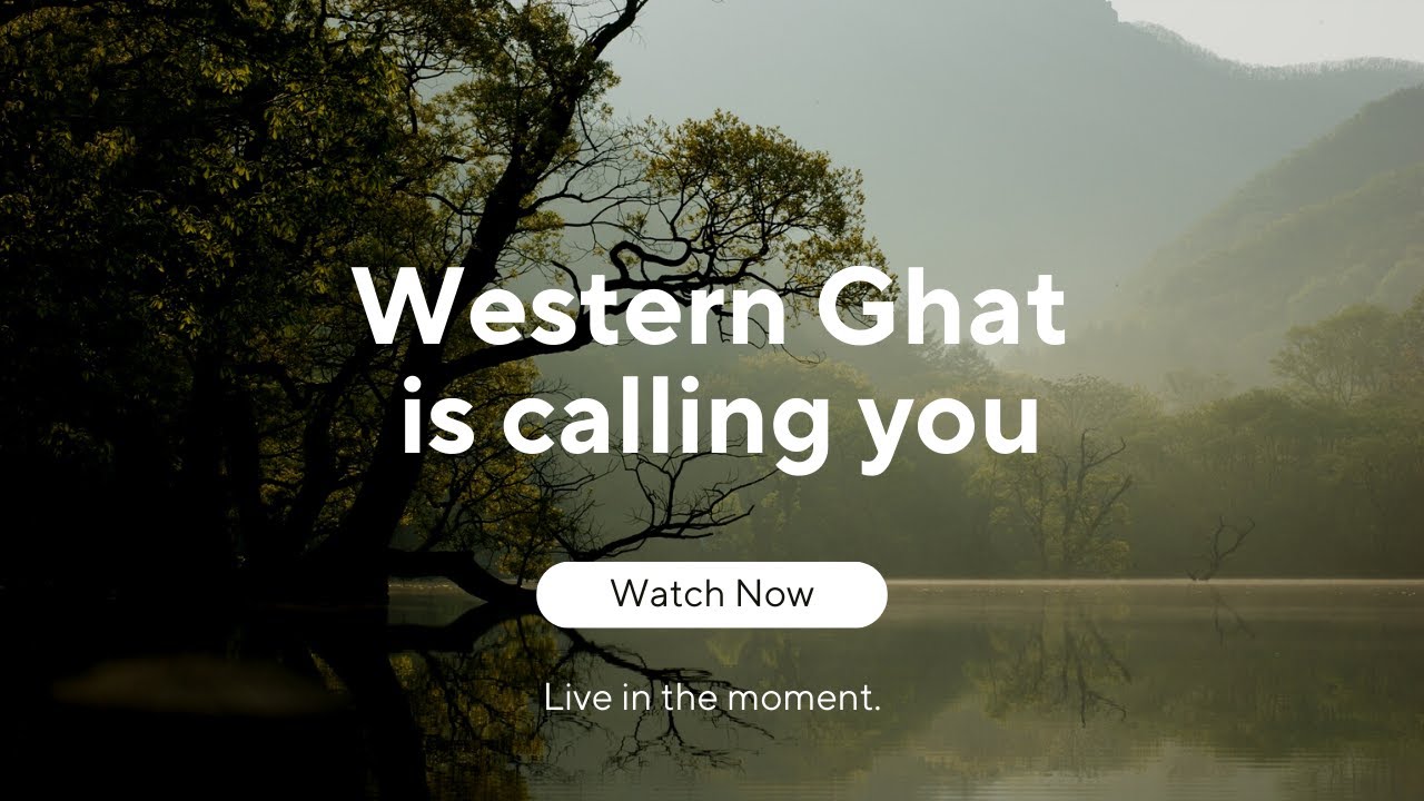 Monsoon Rain in Western Ghats | Amazing Monsoon beauty Heaven on earth | Must visit place in India