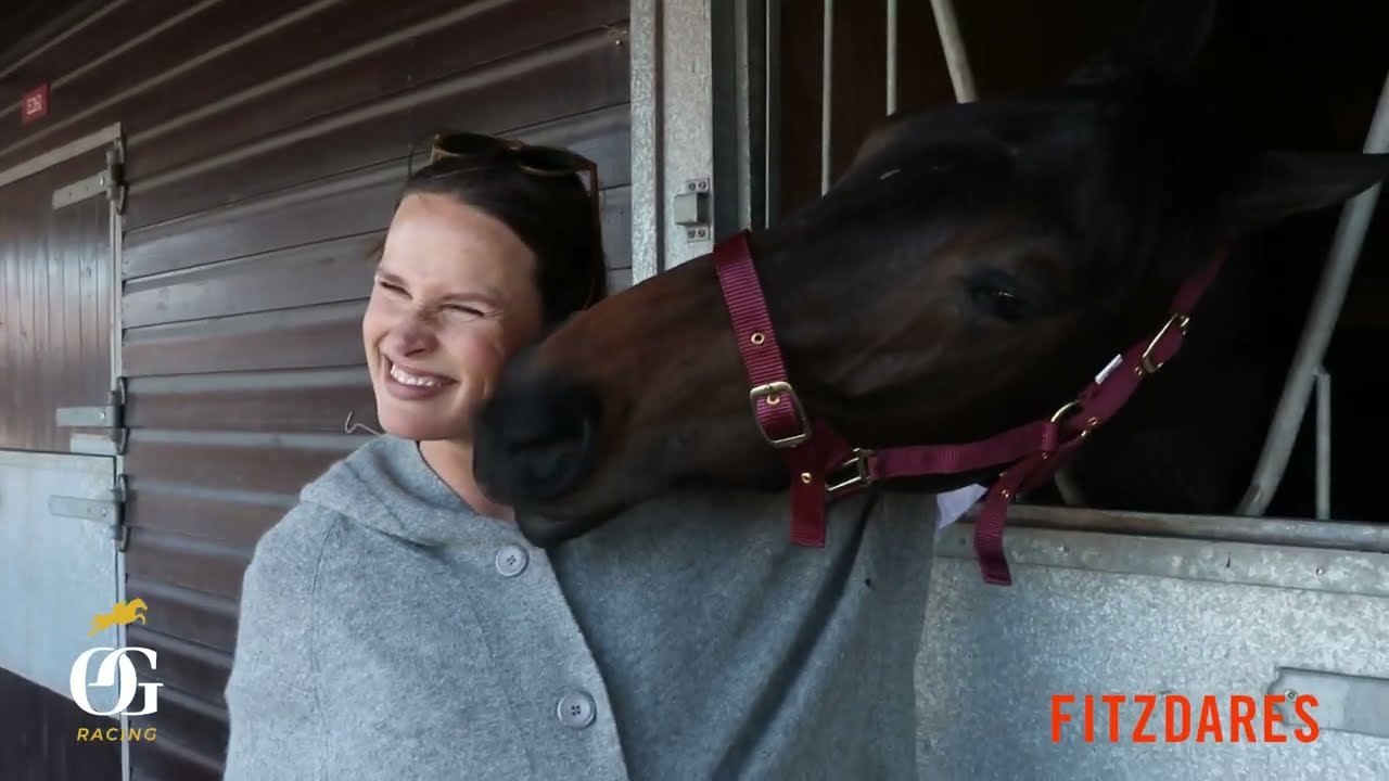 Покупка плоской лошади I Old Gold Racing представляет