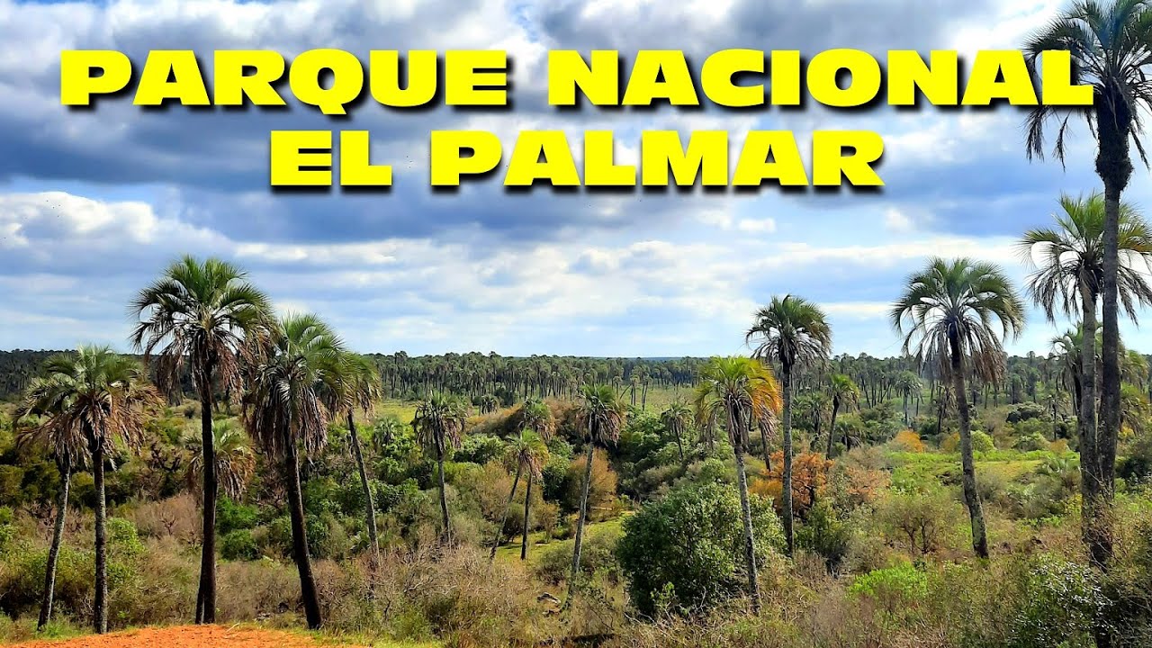 PASEO por El PARQUE NACIONAL el PALMAR - ENTRE RIOS 🙌