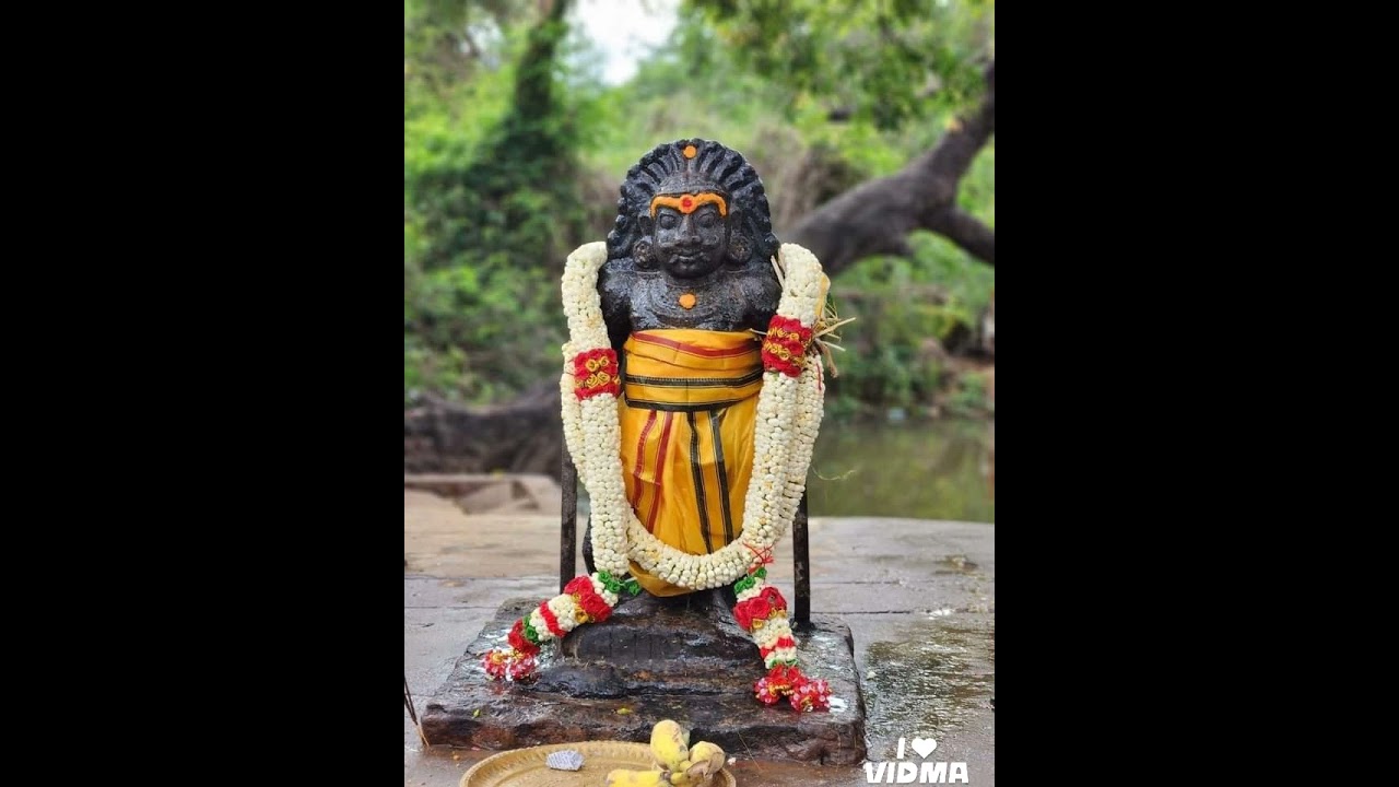 கை. கருப்பு விலக மை 7639086305
