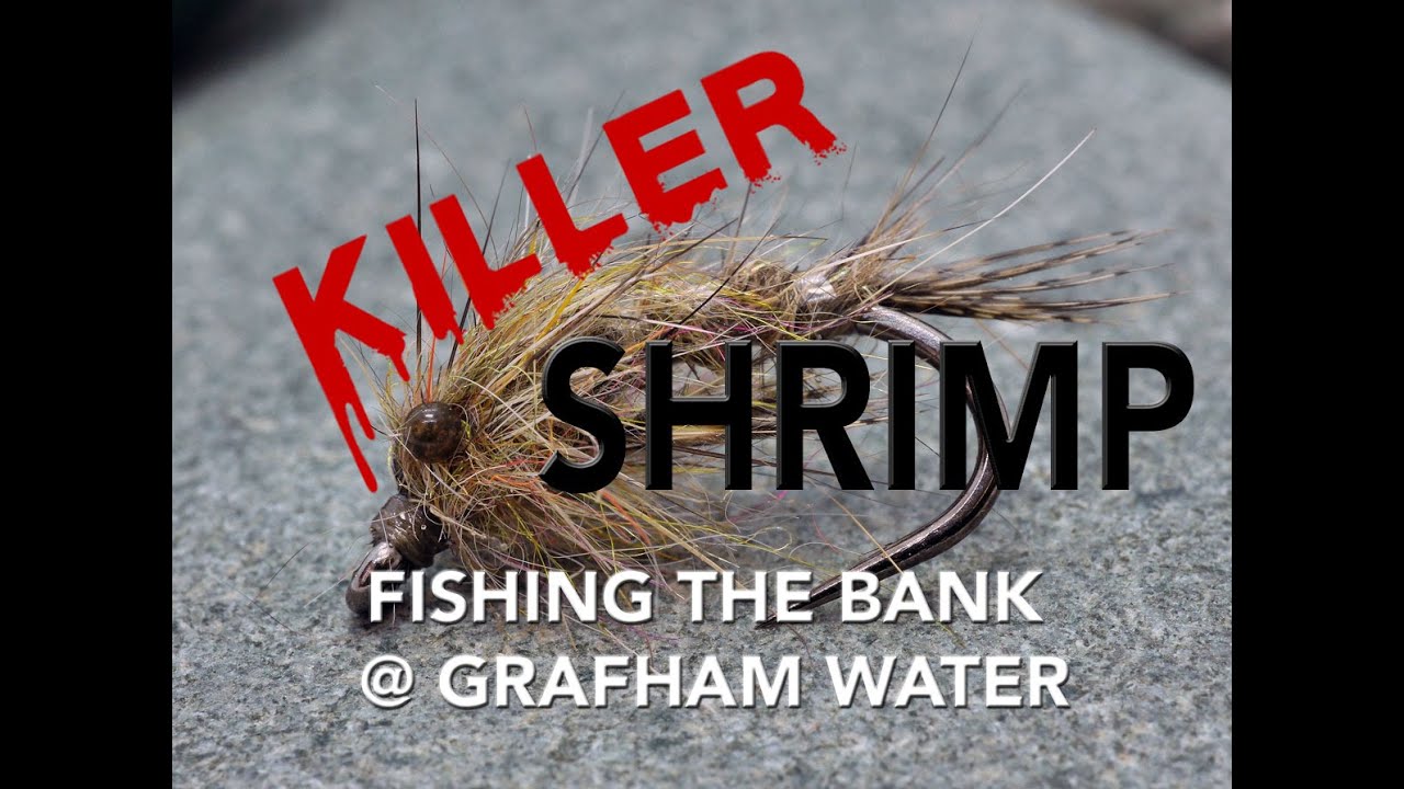 Fly Fishing Bonanza on Killer Shrimp at Grafham Water