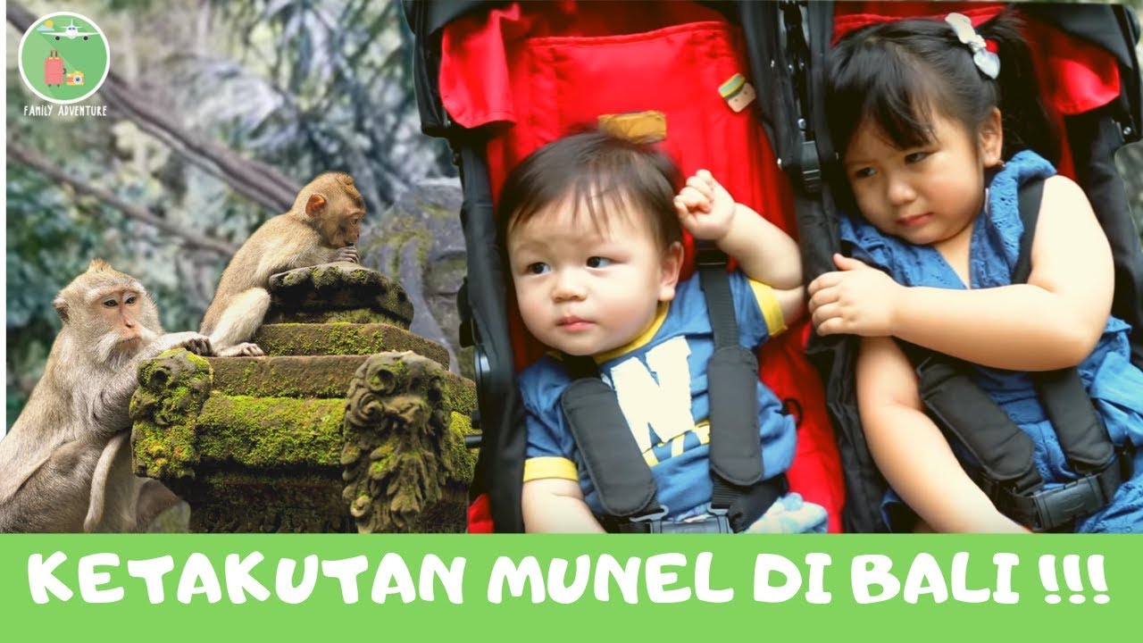 Dasar Monyett!! Munel nangis deh!!