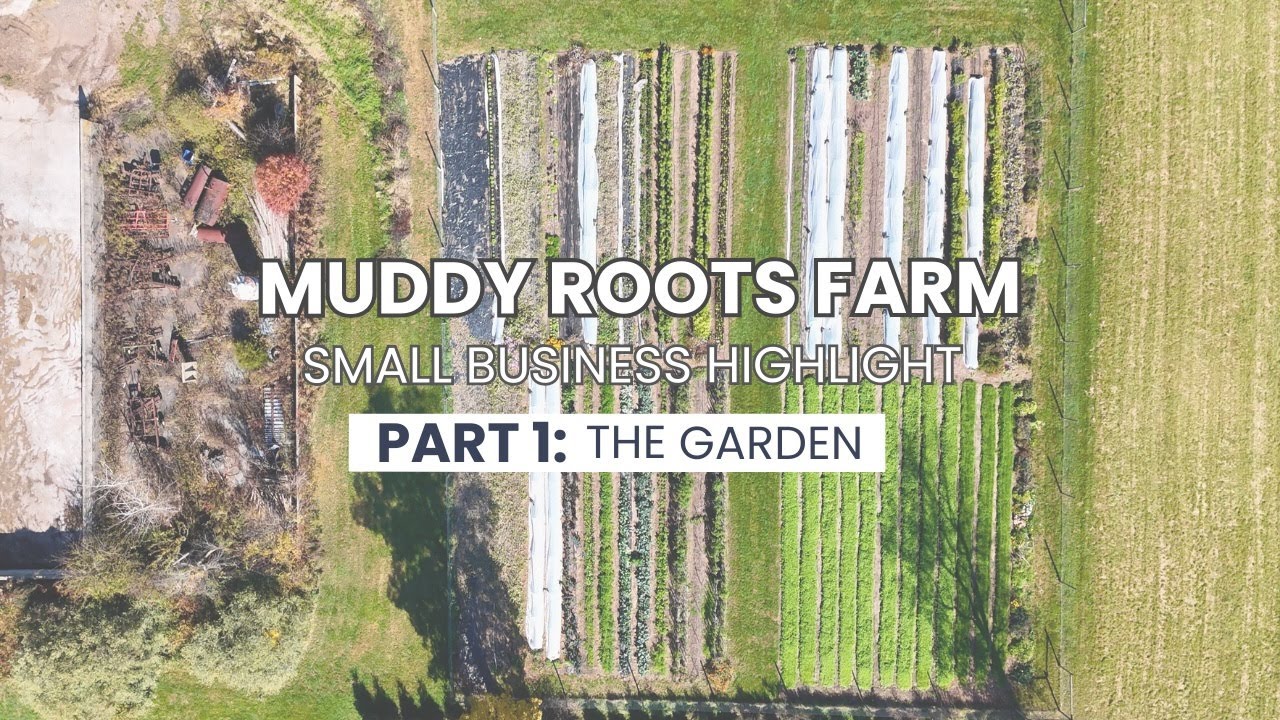 Muddy Roots Farm (Part 1: The Garden) Small Business Highlight
