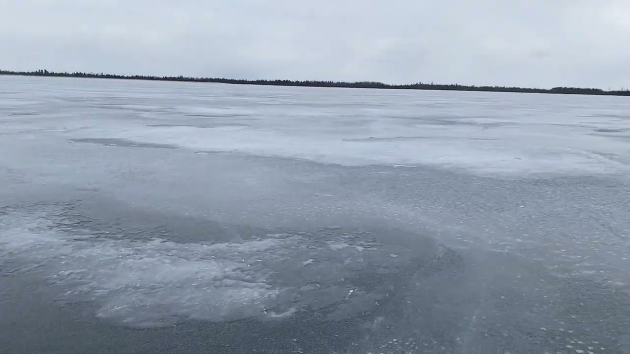 27 февраля 2026 г.