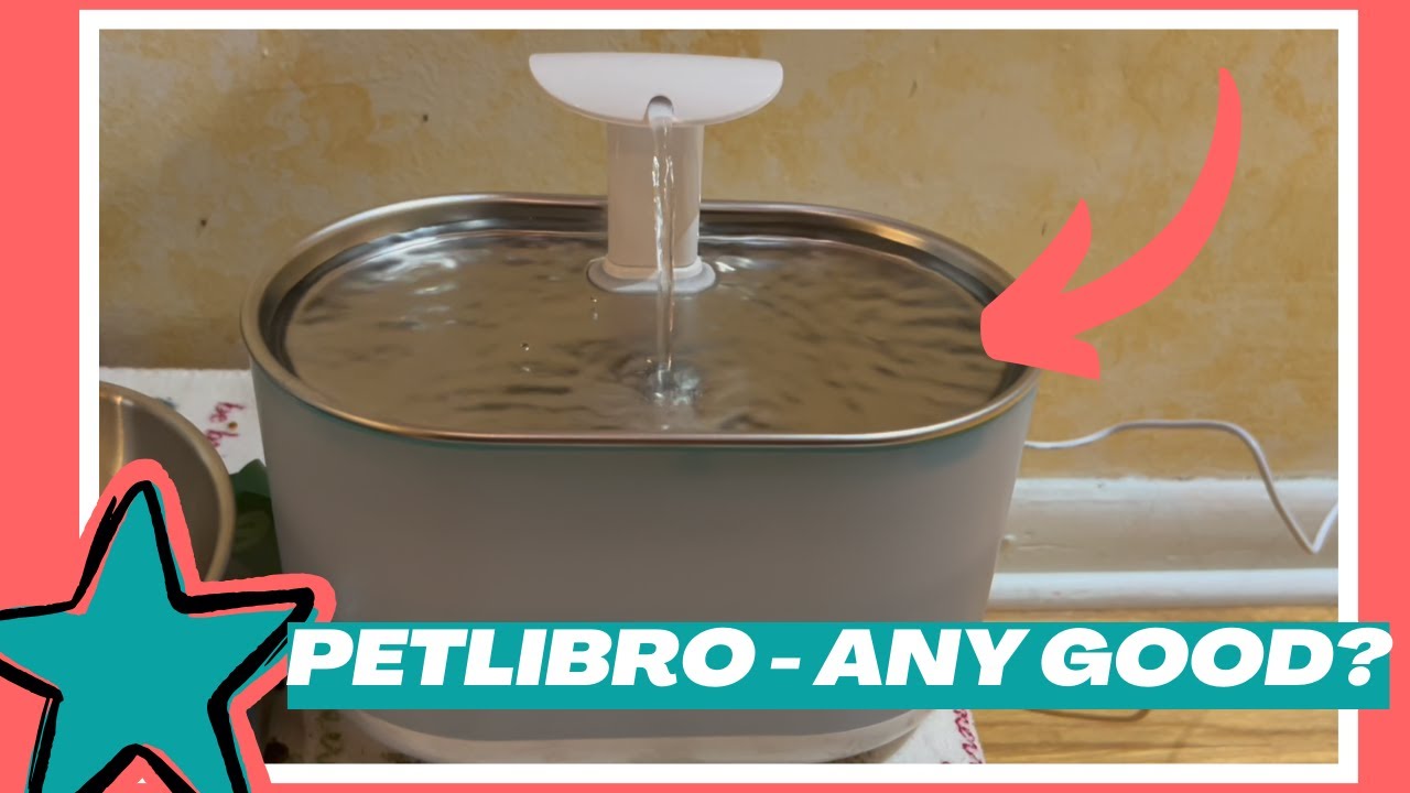 PETLIBRO Cat Water Fountain Stainless Steel,Ultra Quiet,71fl oz/2.1L Automatic Cat Fountain (Review)