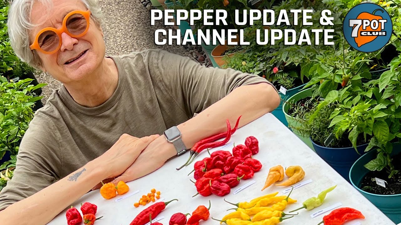 Роб вернулся! Обновление Hot Pepper Garden и канала