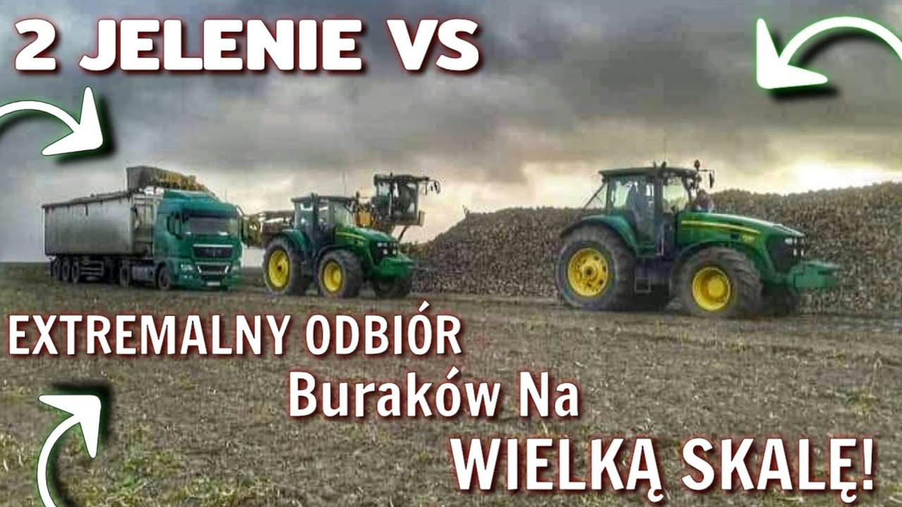 EXTREMALNY ODBIÓR BURAKÓW 2019 W BŁOCIE JELENIE NIE DAJĄ RADY!!   CZĘŚĆ 1